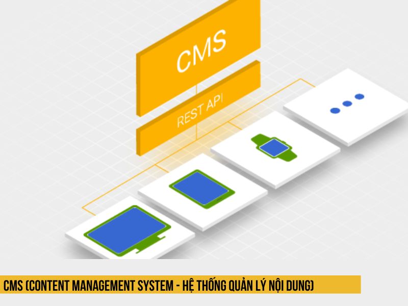  CMS (Content Management System - Hệ thống quản l&yacute; nội dung)