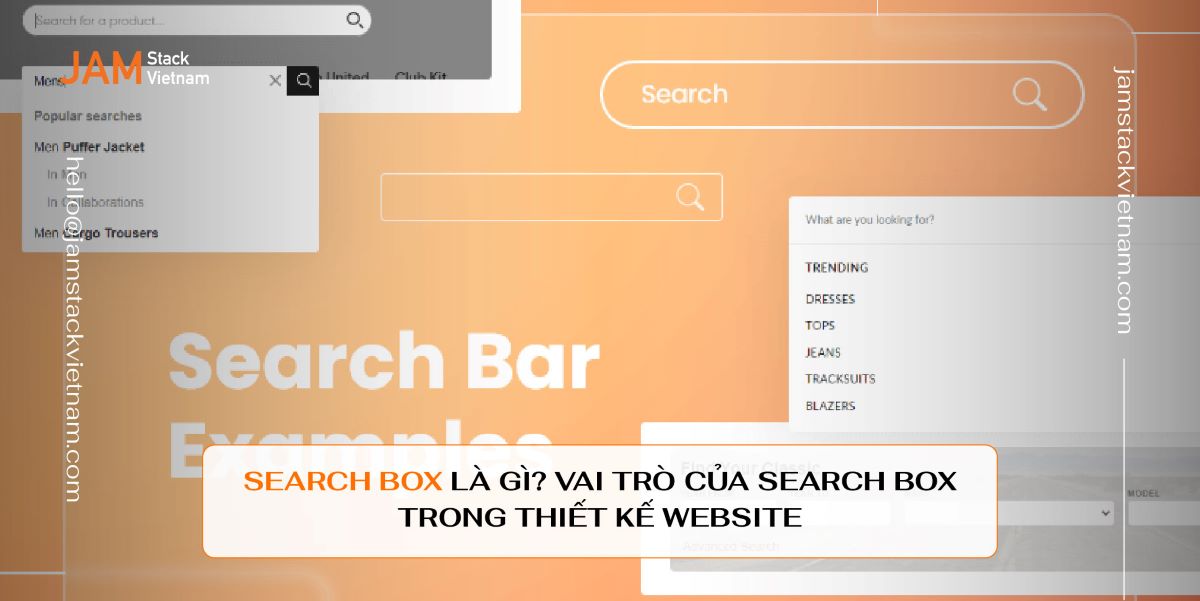Search box là gì? Vai trò của search box trong thiết kế website