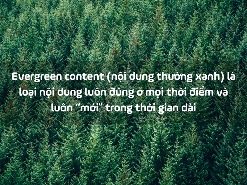 Evergreen content (nội dung thường xanh) l&agrave; loại nội dung lu&ocirc;n đ&uacute;ng ở mọi thời điểm